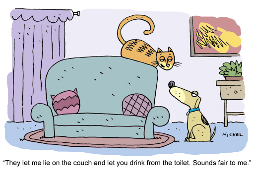 Friday-Funny-Cat-Cartoon-July1 – SOLUTIONS FOR LIVING
